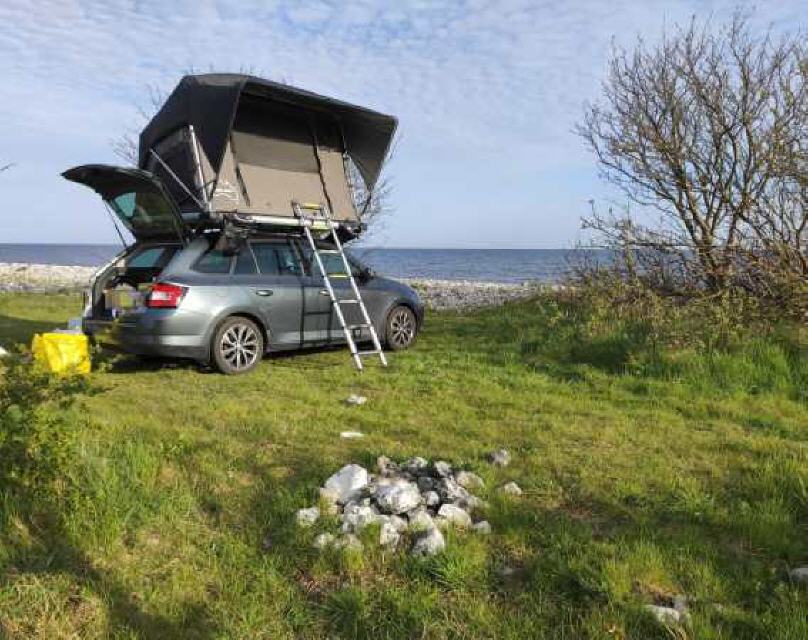 Entspanntes Reise: Jimba-Jimba auf Skoda Octavia. Bild: Weißbrodt